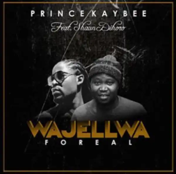 Prince Kaybee - Shukuma Ft. Phindile